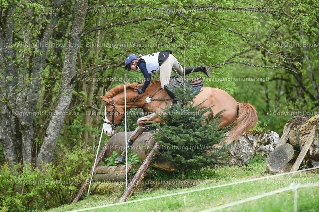 20230513_CCI2_Section2_Gelände_0054 | equistock