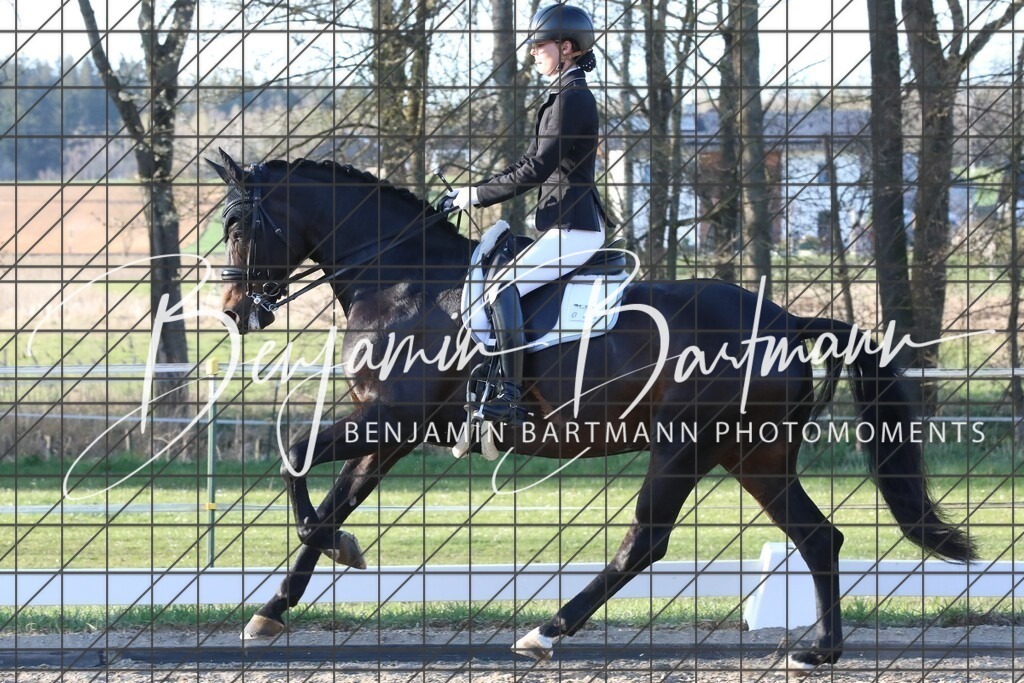 AZ2A5644 | Benjamin Bartmann Photomoments