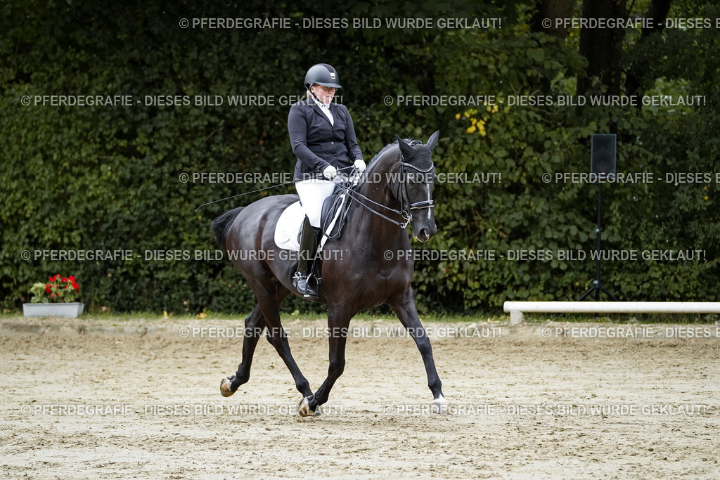 DSC09397 | Pferdegrafie