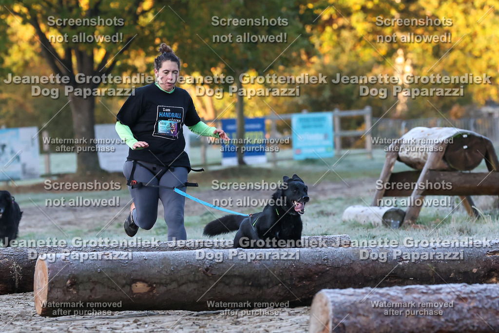 Dog Paparazzi - Strongdog 10-25-208 | Dog Paparazzi Jeanette Grottendiek Fotografie & Videografie - Realisiert mit Pictrs.com