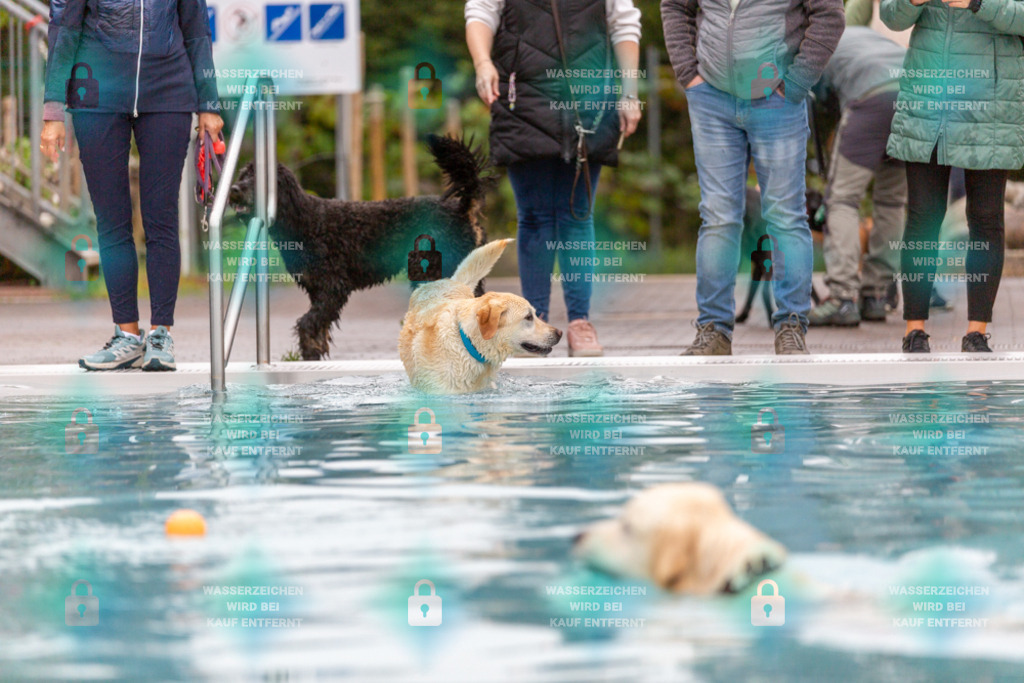 _HP_7165_1000o | HetPix, HetPix Fotodesign, Fotografie, Fotodesign, Webshop, Sportfotografie, Portraitfotografie, Onlineshop, Sportfotografie, Polch, Motorsportfotografie, Eventfotografie