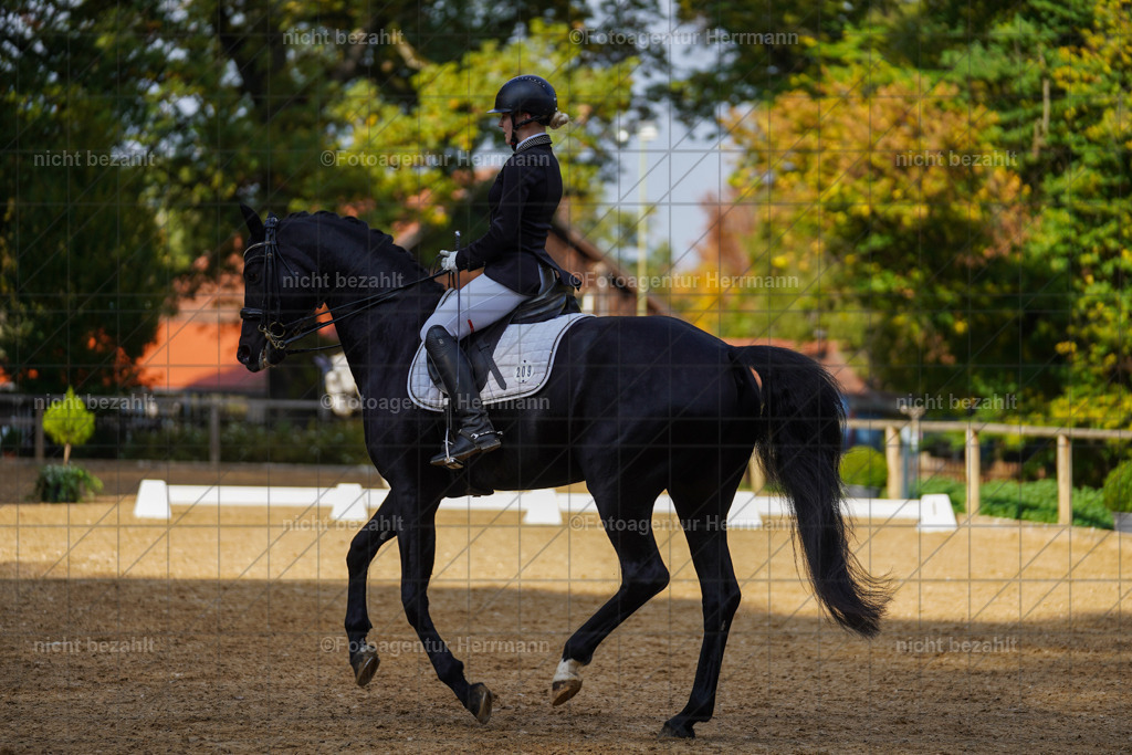 20221007-FAH00040 | Diessen am Ammersee, 2022, Dressur- und Springturnier, Reitsportbilder, Turnierfotografen Bayern, Pferdefotografen, Fotoagentur Herrmann, Turnierbilder
