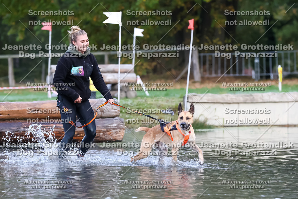 Dog Paparazzi - Strongdog 10-25-6314 | Dog Paparazzi Jeanette Grottendiek Fotografie & Videografie - Realisiert mit Pictrs.com