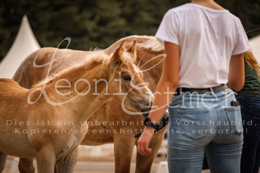 SaSF00063 | Leoni Ertmer Photography - Realisiert mit Pictrs.com