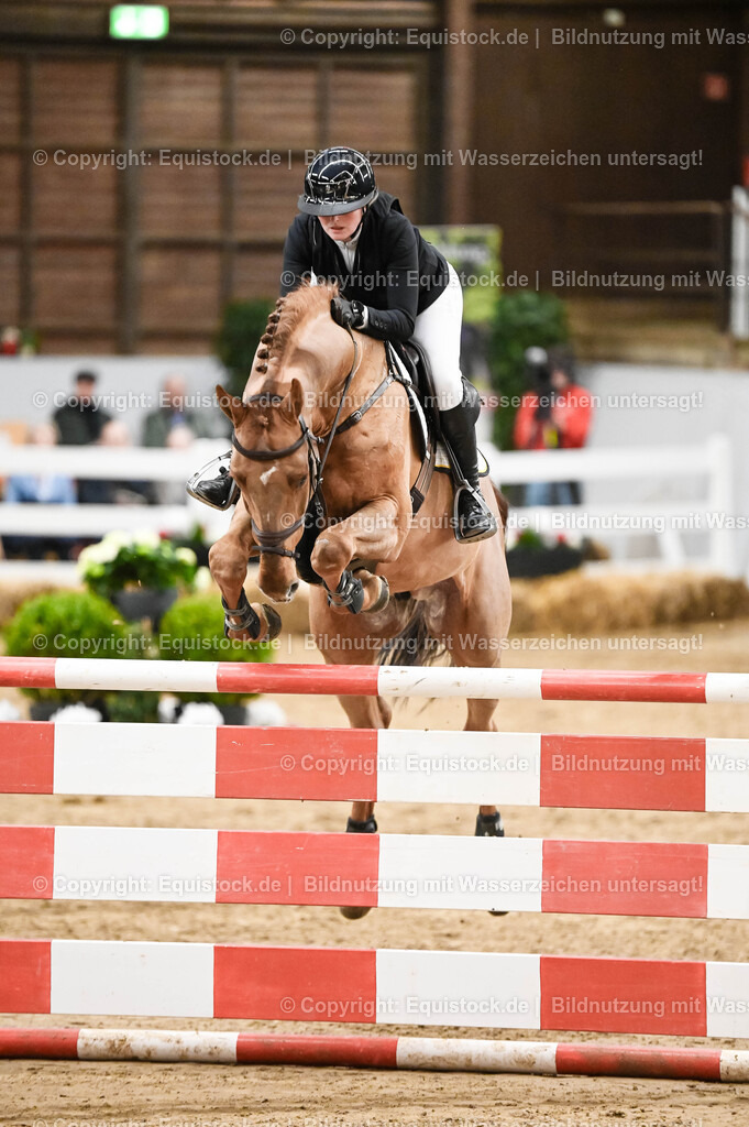 20260307_Hengstvorstellung-Marbach_0156 | equistock