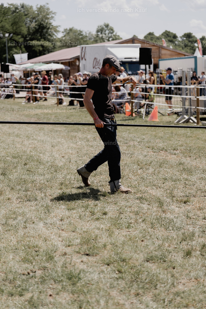 _DSC6983 | working equitationturnier fotograf videograf stoibphotography marixx film working equitation deutschland reitsport turnierfotografie eventfotografie equestrian events