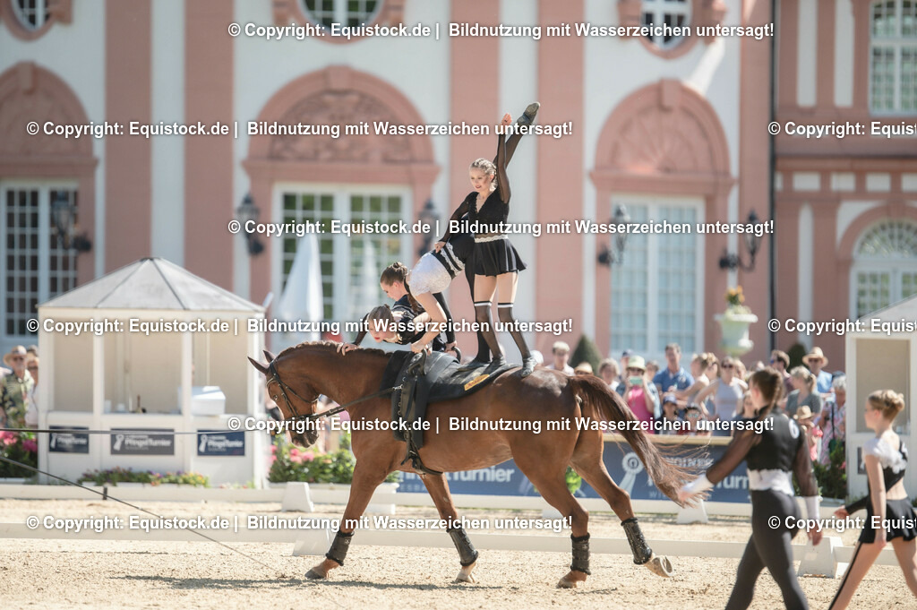 20230528_Voltigieren_NASPA_0537 | equistock