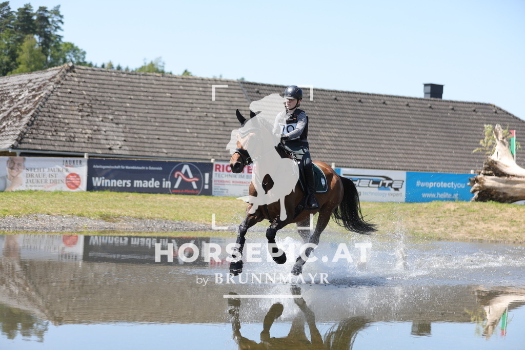 0P6A4986 | Willkommen bei Brunnmayr - Design & Fotografie – Ihrem Spezialisten für Reitturniere und Pferdeveranstaltungen in Oberösterreich, Salzburg und Bayern! Seit über 17 Jahren sind wir leidenschaftlich dabei.