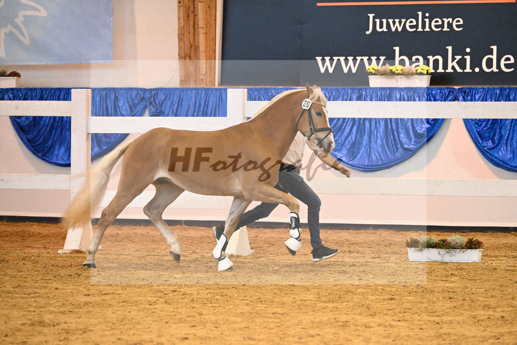 Kat-Nr. 20 nn v. Bugatti_Hock_60220330 | hf-fotografie - Realisiert mit Pictrs.com