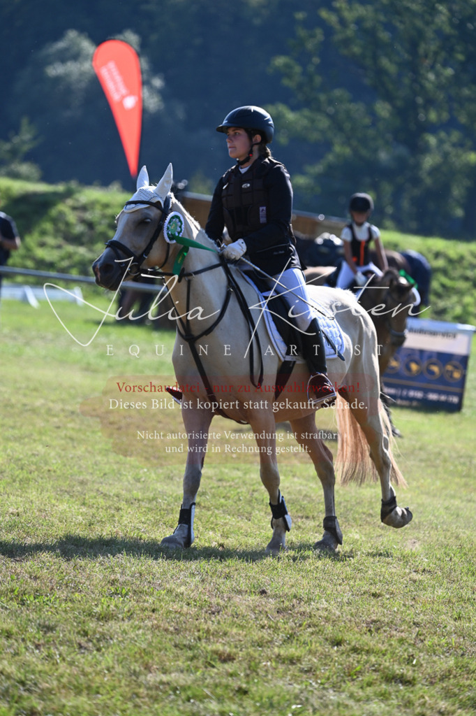 DSC_5392 | Pferde- und Turnierfotografie in Westsachsen. Pferdeportraits, Auftragszeichnungen und intuitive Kunst.