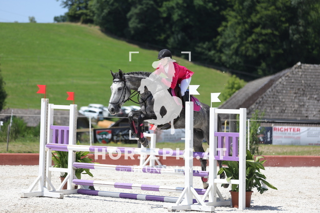 0P6A9004 | Willkommen bei Brunnmayr - Design & Fotografie – Ihrem Spezialisten für Reitturniere und Pferdeveranstaltungen in Oberösterreich, Salzburg und Bayern! Seit über 17 Jahren sind wir leidenschaftlich dabei.