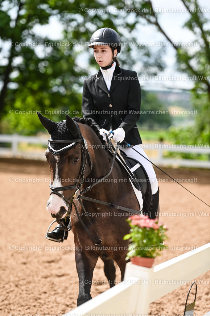 20230716_10-1_Reiter-WB Schritt - Trab - Galopp_0123 | equistock