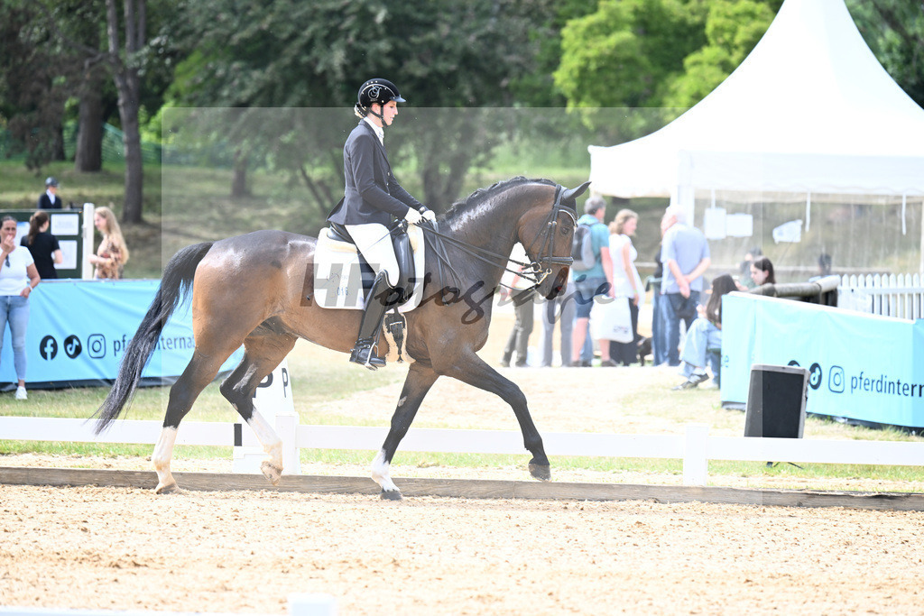 Sievers_Belmondo_11257055 | hf-fotografie - Realizzato con Pictrs.com