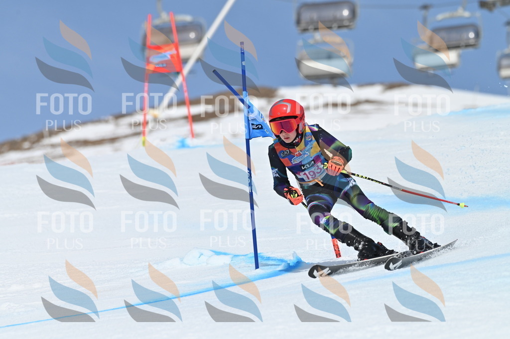 BGV_0870 | holidayphoto