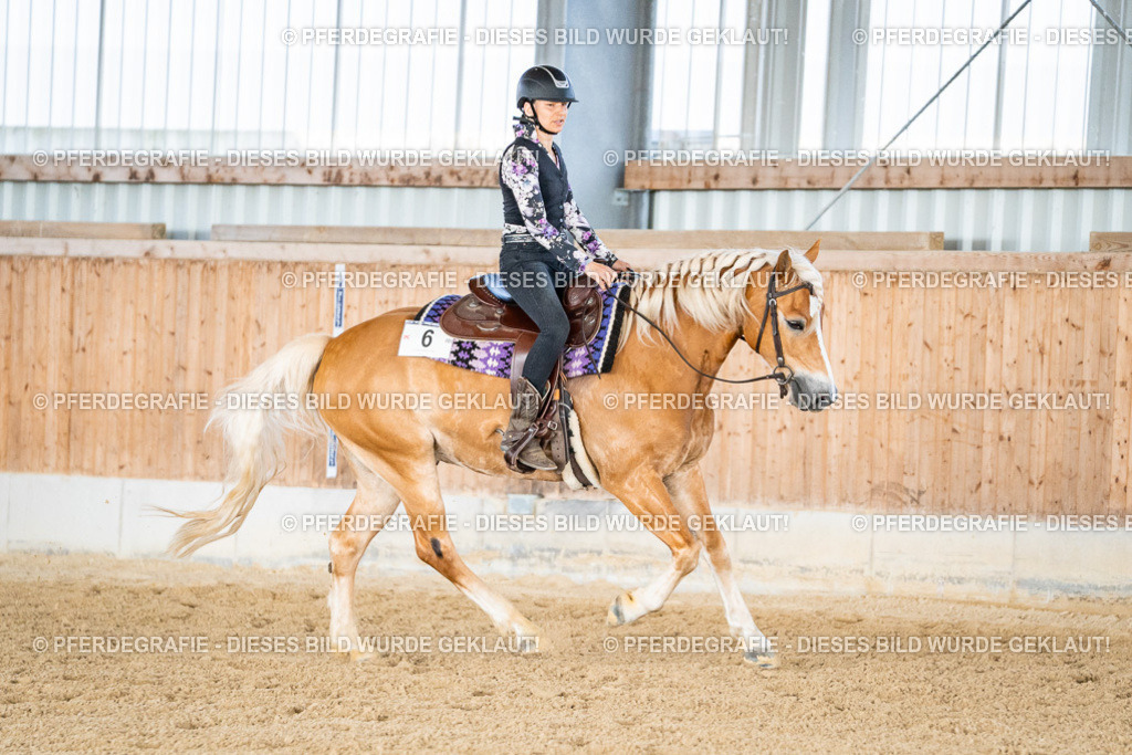 DSC09130 | Pferdegrafie