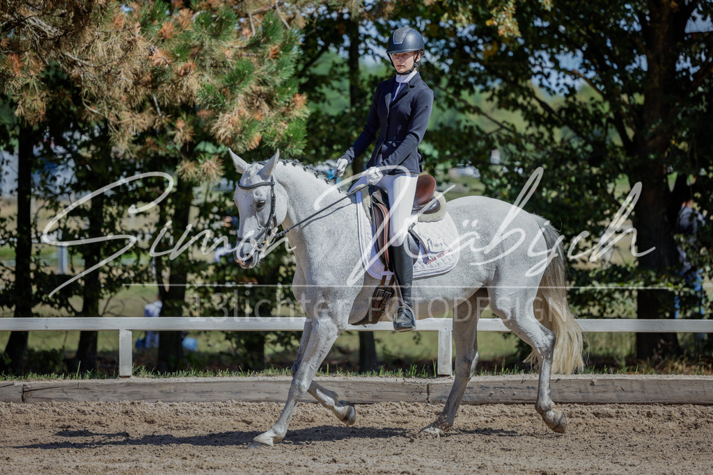 20250906-_3LI4613 | Tierfotografie Pferde, Hunde, Katzen, Haustiere.
Turnierfotografie Reitturniere, Reiten, Springreiten, Dressur in Hanau, dem Main-Kinzig-Kreis und dem Rhein-Main- Gebiet um Frankfurt