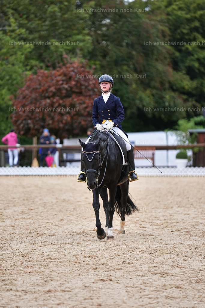 8_2-033-DRESSUR S_  -Marixx-4590 | working equitationturnier fotograf videograf stoibphotography marixx film working equitation deutschland reitsport turnierfotografie eventfotografie equestrian events