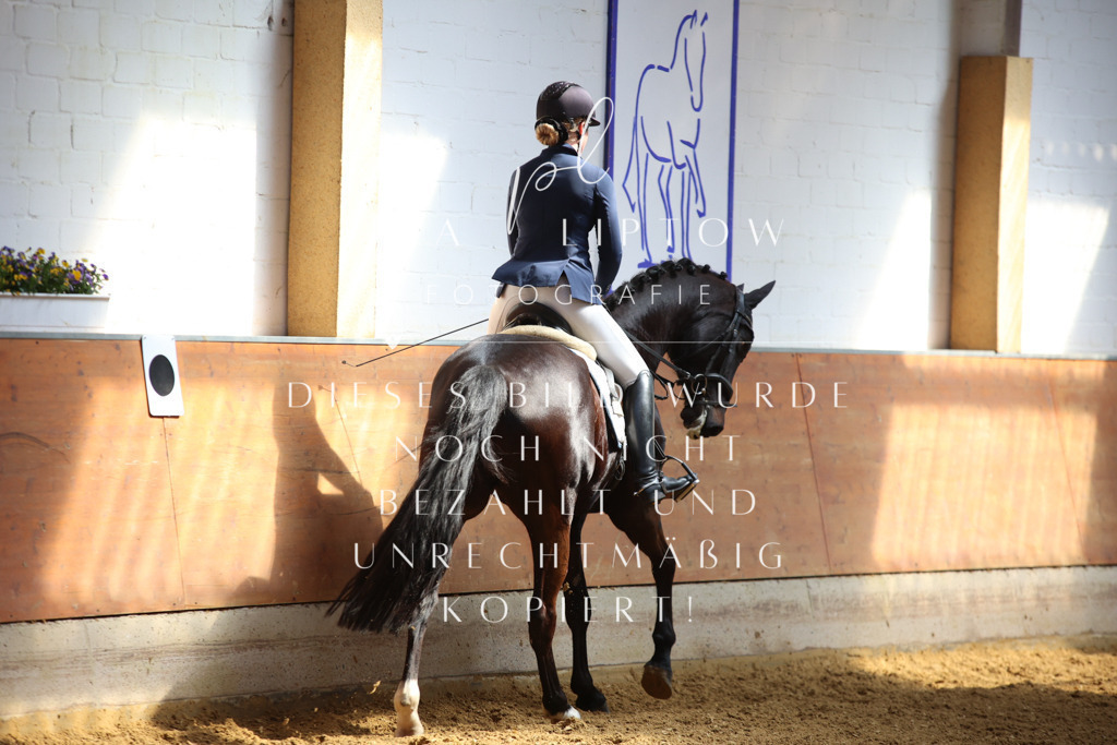 IMGT7841 | pl-fotografie