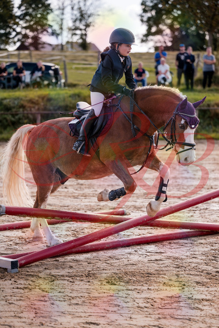 2026_10_03_Siefer-Hof_144437_Z81_18463923 | Professionelle Reitsport-, Turnier- und Eventfotografie von Robert Broda. Galerien mit ausgewählten und bearbeiteten Bildern direkt online ansehen und bestellen.