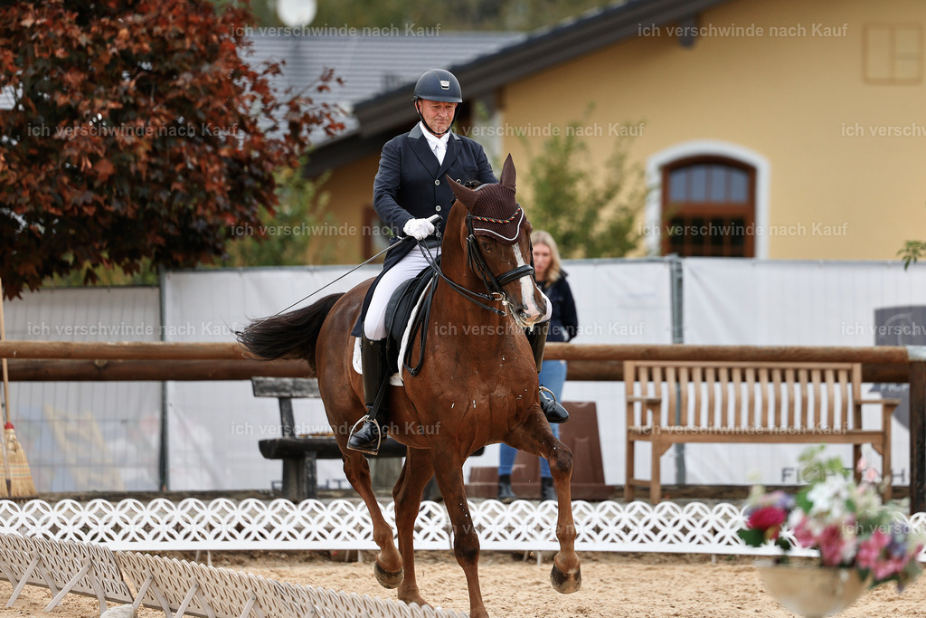 11-092-Dressur S___-StoibPH-1321 | working equitationturnier fotograf videograf stoibphotography marixx film working equitation deutschland reitsport turnierfotografie eventfotografie equestrian events