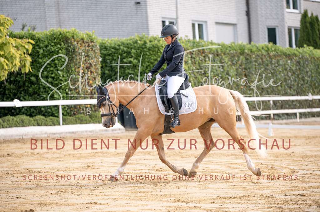 Schugtsche-Aluta25-40.DressurprfA_-90 | Schugtsche Fotografie - Realizzato con Pictrs.com