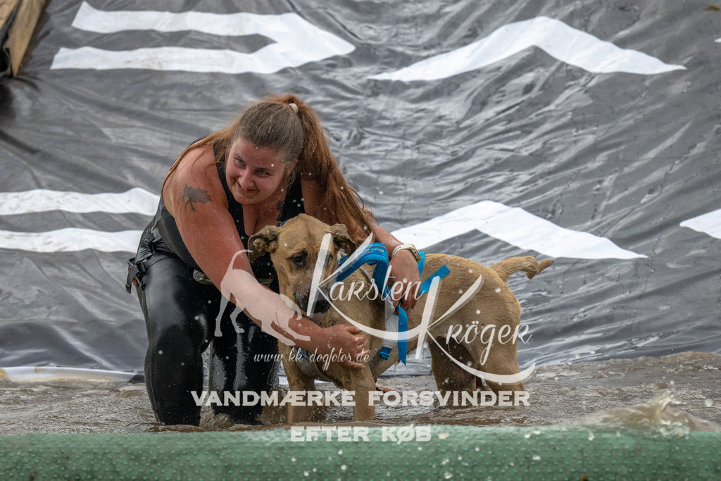 1541_ZZ94959 | kk-dogfotos