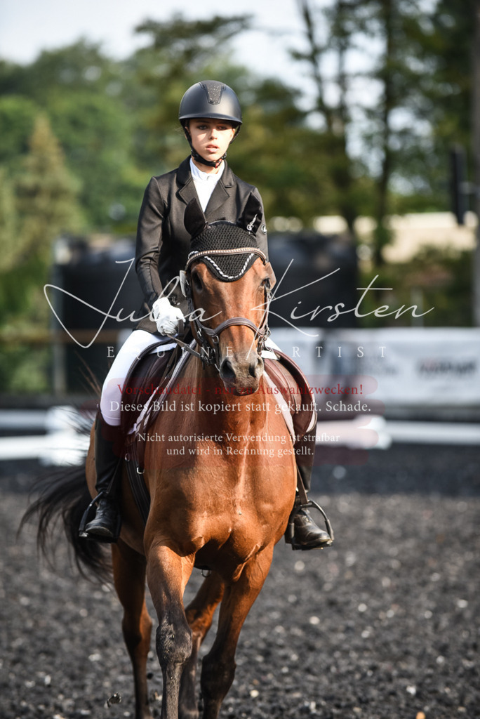 DSC_3473 | Pferde- und Turnierfotografie in Westsachsen. Pferdeportraits, Auftragszeichnungen und intuitive Kunst.