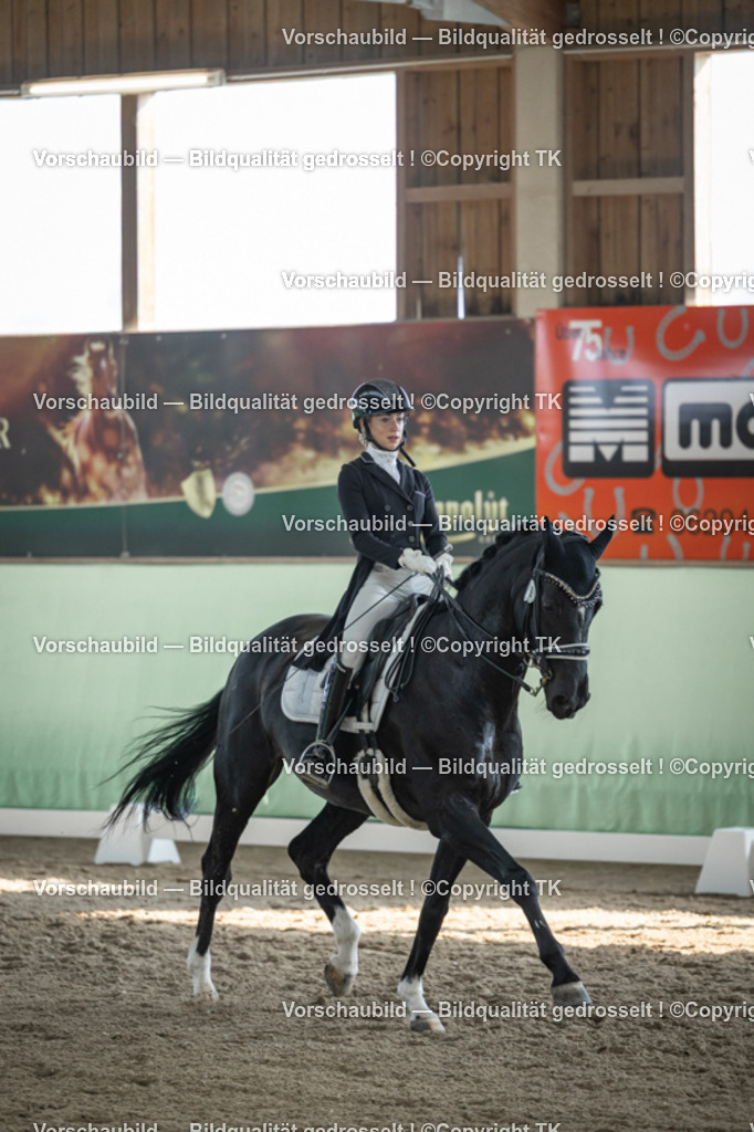 _D5A0272 | Emotionale Pferde- & People-Fotografie rund um Heidelberg, Leimen & Umgebung. Natürliche Fotos von Pferd, Mensch & Familie. Jetzt Termin sichern!
