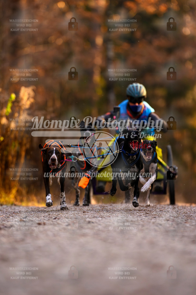 MompixPhotography_DM_AKDM_SO_2025_Wagen-30 | PayLife