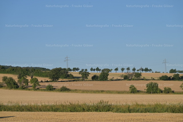F.Gläser_0546 | Naturfotografie Frauke Gläser - Realisiert mit Pictrs.com