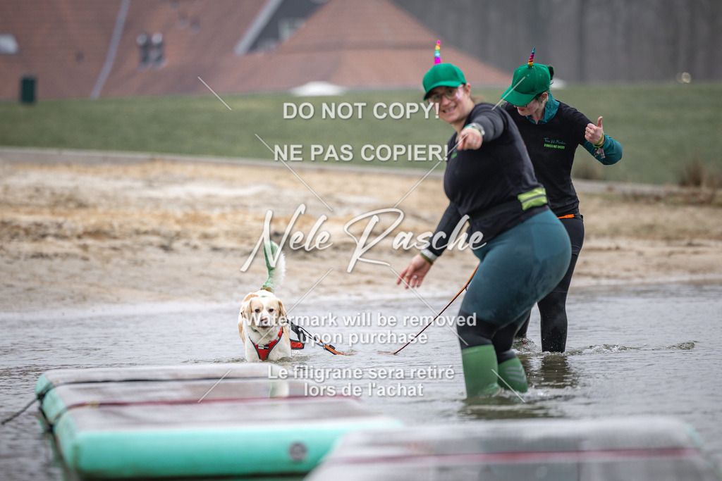 nelerasche_Hulsbeek_Sa0845-1030_459 | nelerasche