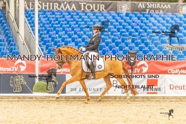 28-8-26 5j DRE-1104 | mandyhollmannphotographie