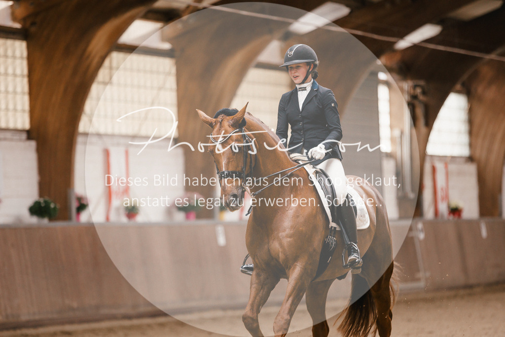 3I6A9085 | Stimmungsvolle Portraits und Reitsportfotografie im Ruhrgebiet und im Münsterland.

Pferdefotografie, Hundefotografie, Tierfotografie, Reportagen, Portraits von Tier und Mensch, Turnierfotografie in Bochum, Recklinghausen, Marl, Haltern am See, Dülmen.. - Realisiert mit Pictrs.com
