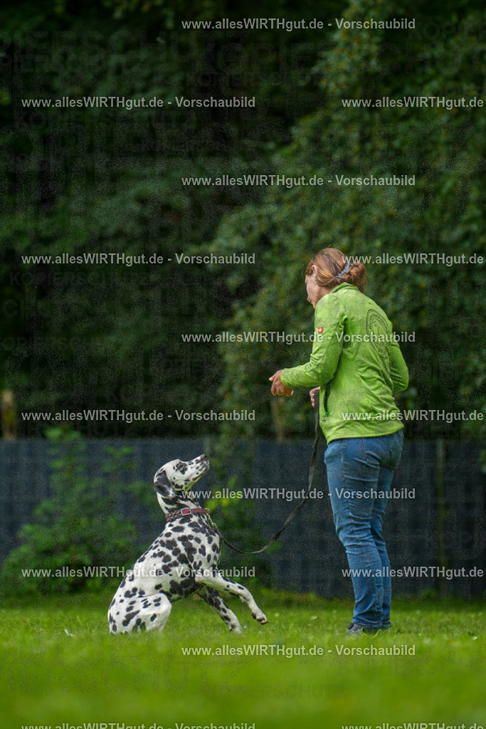 @allesWIRTHgut_Tierfotografie - www.allesWIRTHgut.de - 135050-7R500059 | Professionelle Tierfotografie in Mönchengladbach von Daniel Wirth (allesWIRTHgut). Liebevolle & natürliche Bilder von Hunden & Katzen für unvergessliche Erinnerungen.