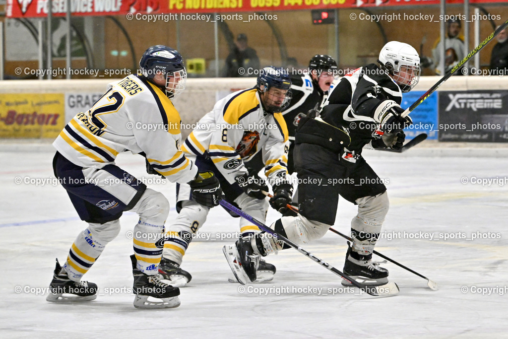EC Tigers Paternion vs. Tarco Wölfe II | #12 Steiner Domenik EC Tigers Paternion, #8 Ortner Sandro EC Tigers Paternion, #4 Halbrainer Paul Tarco Wölfe II, EC Tigers Paternion vs. Tarco Wölfe II, EC Tigers Paternion vs. Tarco Wölfe II am 19.12.2024 in Spittal an der Drau (Eissportzentrum Spittal), Austria, (Photo by Bernd Stefan)