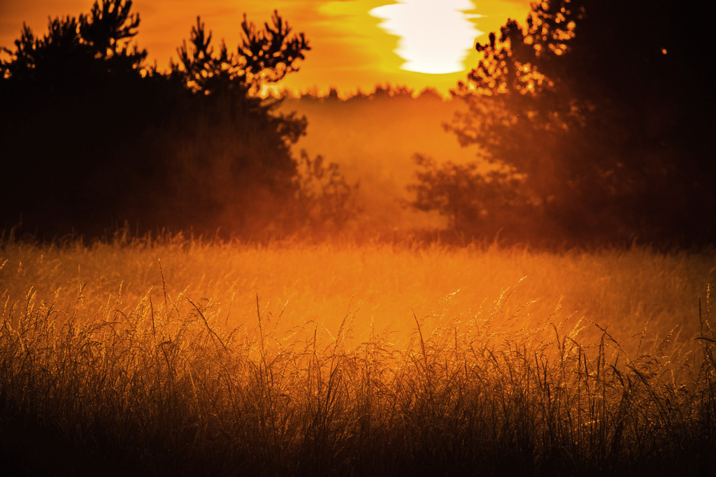 Morgenstunde | fotografie-bernd-pfalzgraf - Realisiert mit Pictrs.com