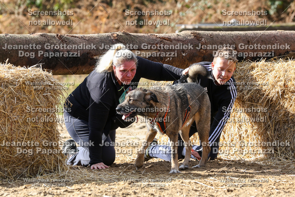 Dog Paparazzi - Strongdog 10-25-5200 | Dog Paparazzi Jeanette Grottendiek Fotografie & Videografie - Realisiert mit Pictrs.com