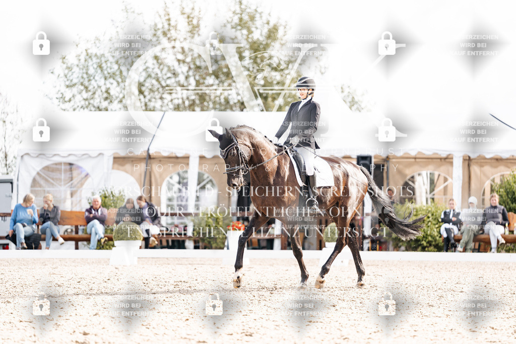 CK901728 | Turnierfotografie Pferdefotografie Trier Rheinland-Pfalz Pferdesport Reitsport Tierfotografie Sportfotografie Pferdevideo Pferdevideografie Equestrianvideography equestrianphotography  - Realisiert mit Pictrs.com