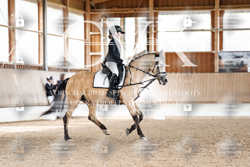 CK900046 | Turnierfotografie Pferdefotografie Trier Rheinland-Pfalz Pferdesport Reitsport Tierfotografie Sportfotografie Pferdevideo Pferdevideografie Equestrianvideography equestrianphotography  - Realisiert mit Pictrs.com