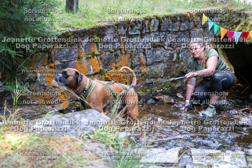 Dog Paparazzi -  TH 26-467 | Dog Paparazzi Jeanette Grottendiek Fotografie & Videografie - Realisiert mit Pictrs.com