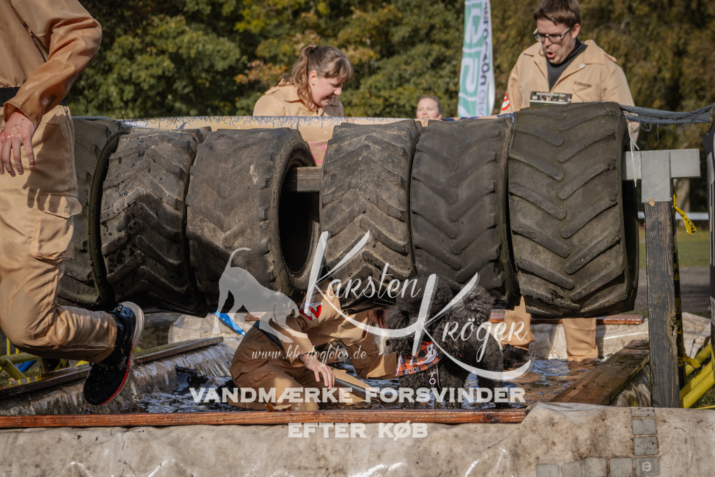 1401_ZZ93736 | kk-dogfotos