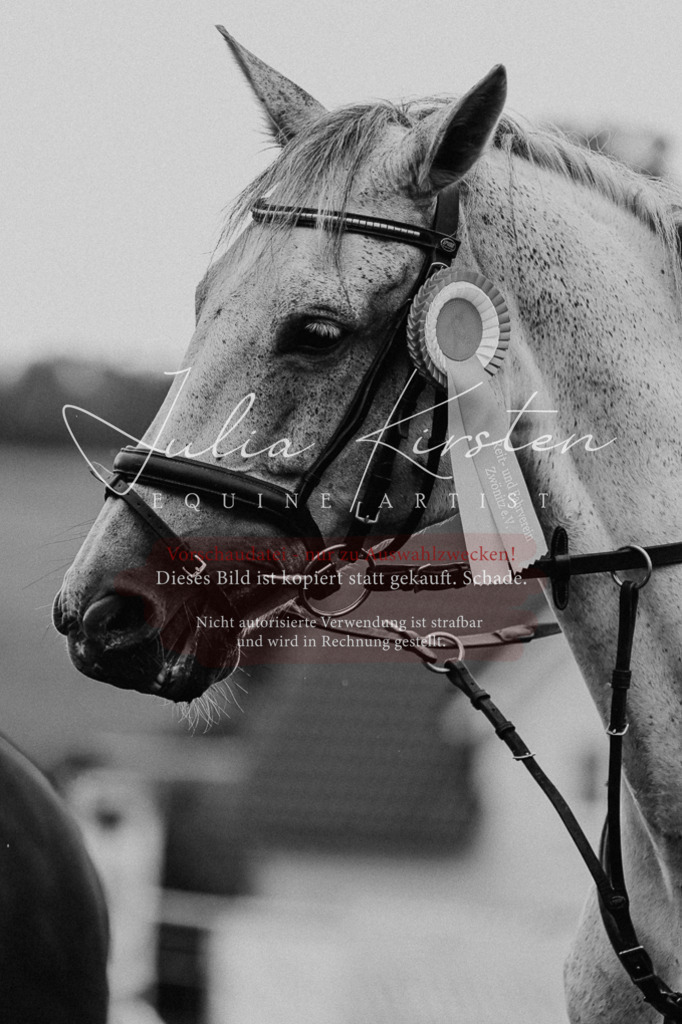 DSC_6687 | Pferde- und Turnierfotografie in Westsachsen. Pferdeportraits, Auftragszeichnungen und intuitive Kunst.
