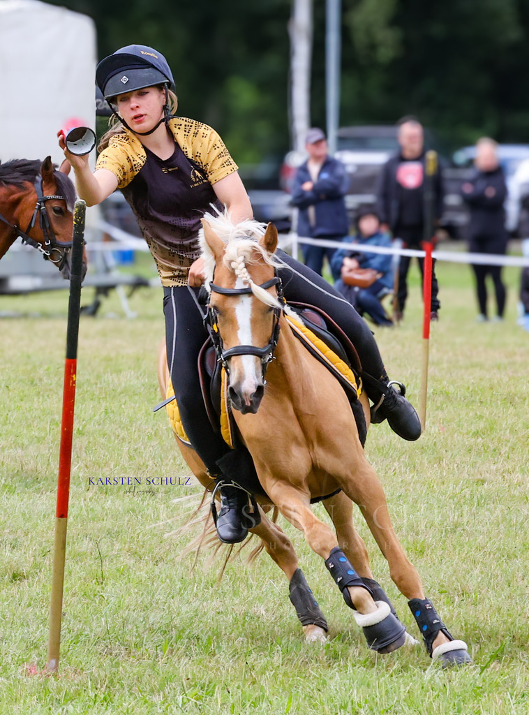 1B3A0942 | Reitsport Reiten