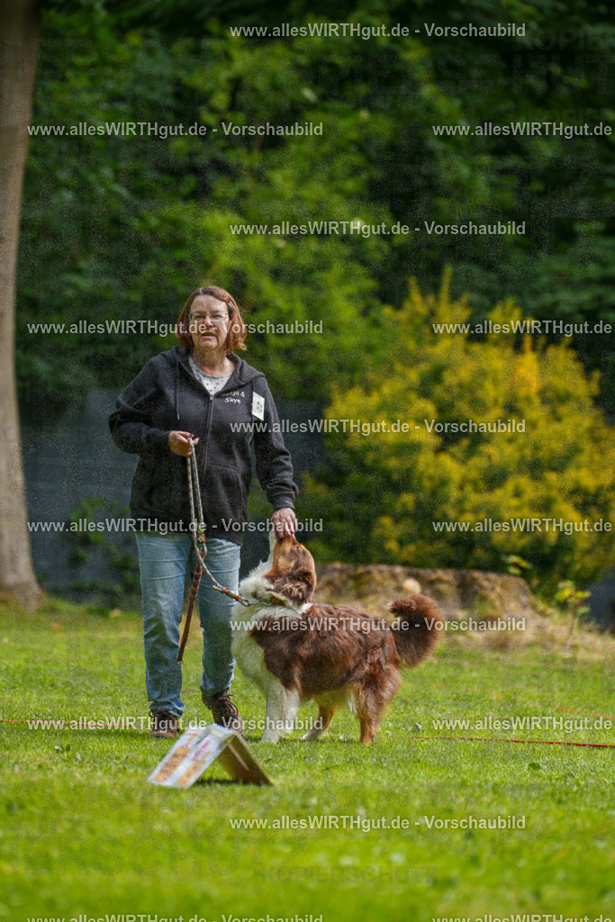 @allesWIRTHgut_Tierfotografie - www.allesWIRTHgut.de - 094741-7R507645 | Professionelle Tierfotografie in Mönchengladbach von Daniel Wirth (allesWIRTHgut). Liebevolle & natürliche Bilder von Hunden & Katzen für unvergessliche Erinnerungen.