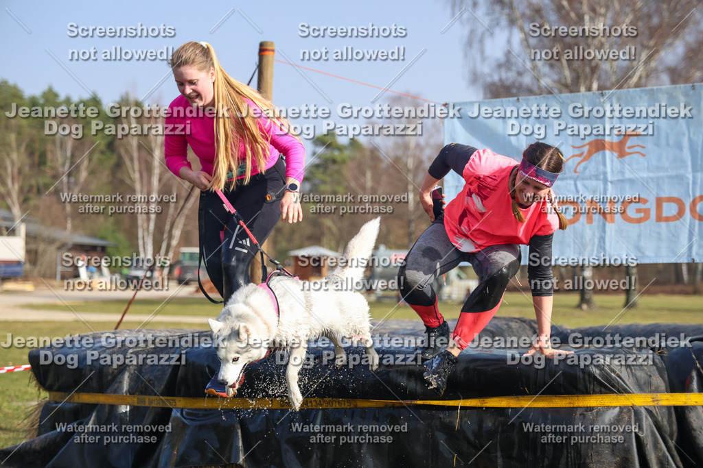 Dog Paparazzi - Strongdog North Mrz26-2356 | Dog Paparazzi Jeanette Grottendiek Fotografie & Videografie - Realisiert mit Pictrs.com