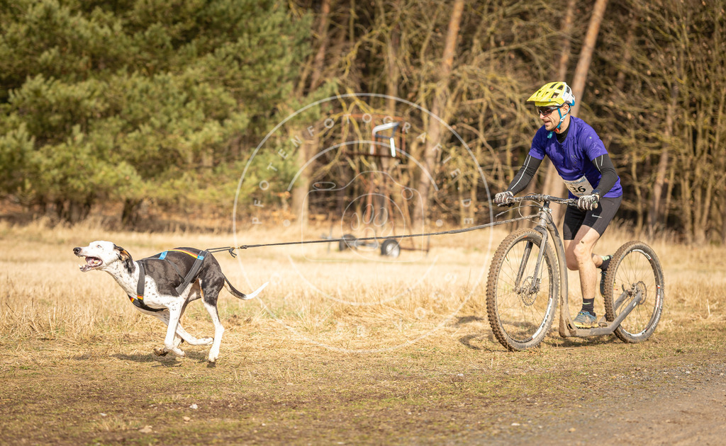DV3A4696 | Hundefotografie, Tierfotograf, Pfotenfotografie, Fotoshooting Hund, Hunde Portrait, Hundesport, Hundeportraits, Heideshooting, Hunde, Sportfotograf, Hundefotograf, Turnierhundsport, THS,  - Realisiert mit Pictrs.com