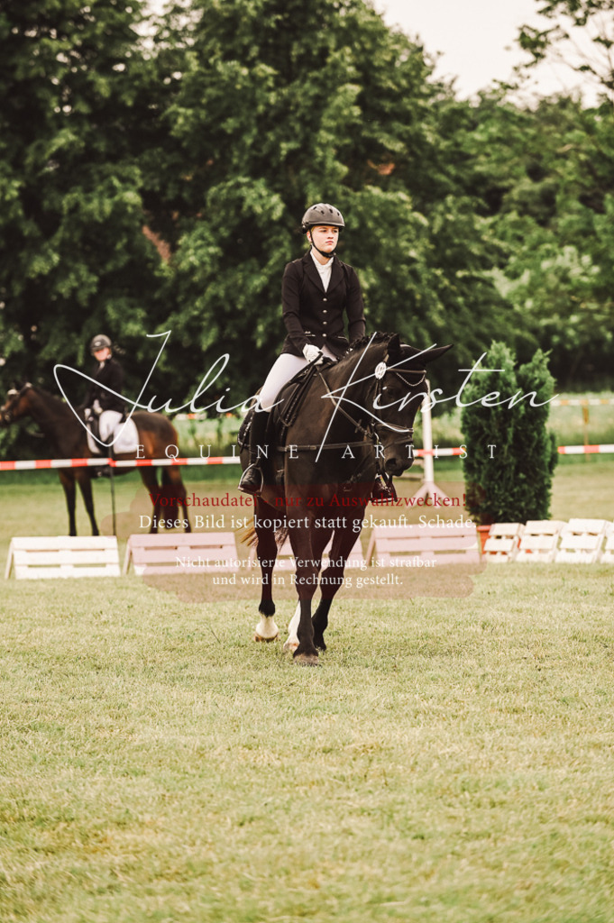 DSC_5060 | Pferde- und Turnierfotografie in Westsachsen. Pferdeportraits, Auftragszeichnungen und intuitive Kunst.