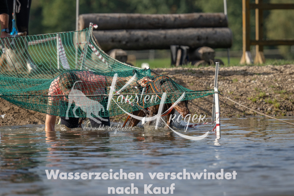 1105_ZZ91485 | kk-dogfotos