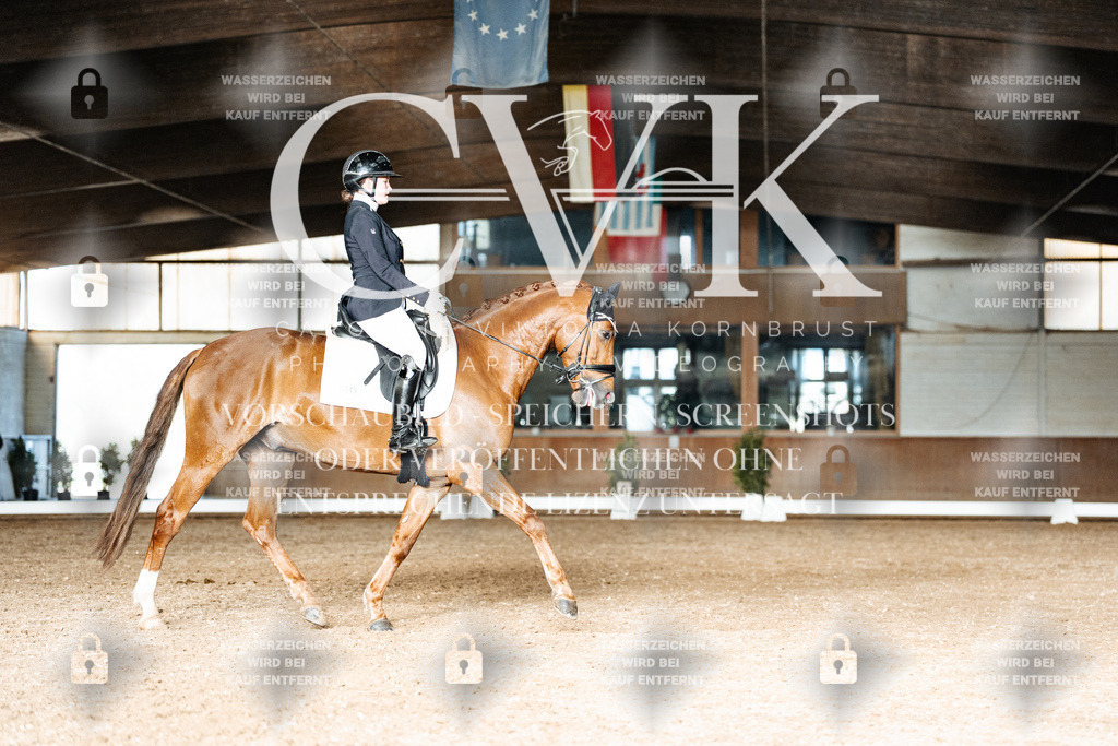 CK903130 | Turnierfotografie Pferdefotografie Trier Rheinland-Pfalz Pferdesport Reitsport Tierfotografie Sportfotografie Pferdevideo Pferdevideografie Equestrianvideography equestrianphotography  - Realisiert mit Pictrs.com