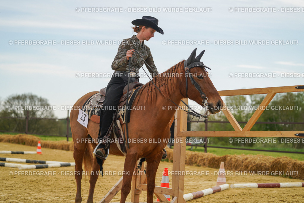 DSC02607 | Pferdegrafie